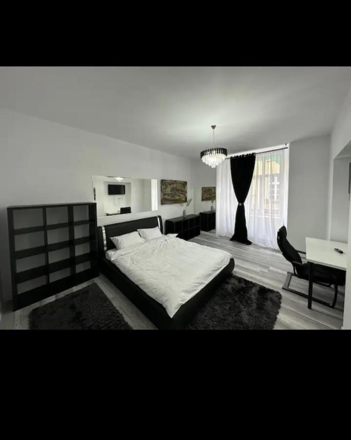 Piata Libertatii Apartament 1 Room 蒂米什瓦拉 外观 照片