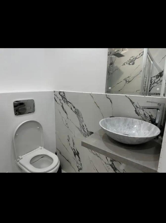 Piata Libertatii Apartament 1 Room 蒂米什瓦拉 外观 照片