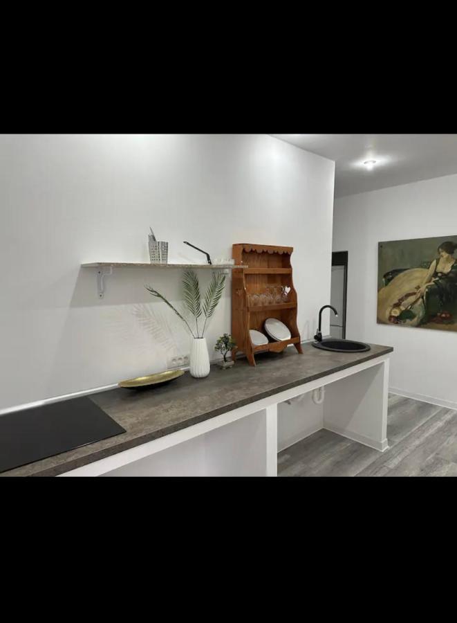 Piata Libertatii Apartament 1 Room 蒂米什瓦拉 外观 照片
