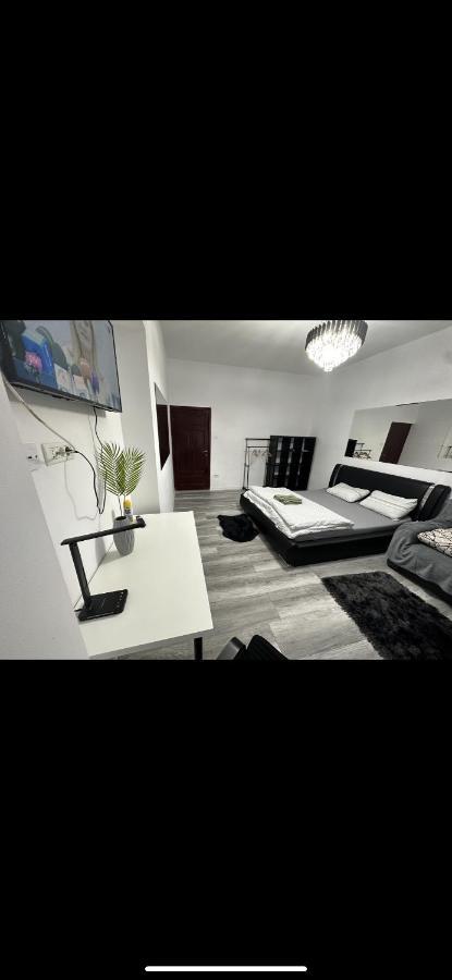 Piata Libertatii Apartament 1 Room 蒂米什瓦拉 外观 照片