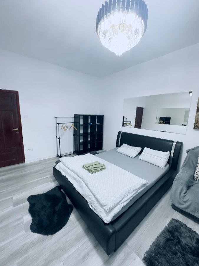 Piata Libertatii Apartament 1 Room 蒂米什瓦拉 外观 照片